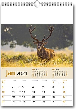 Promotional Wildlife Memo Wall Calendar