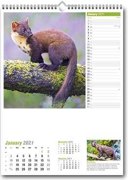 Promotional Wildlife Of Britain Wall Calendar