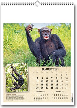 Promotional World Wildlife Wall Calendar