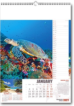 Promotional Endangered Species Wall Calendar