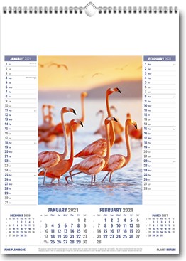 Promotional Planet Nature Wall Calendar