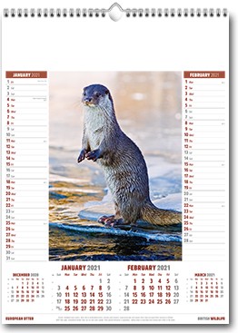 Promotional British Wildlife Wall Calendar