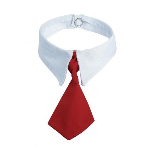 Promotional Tie