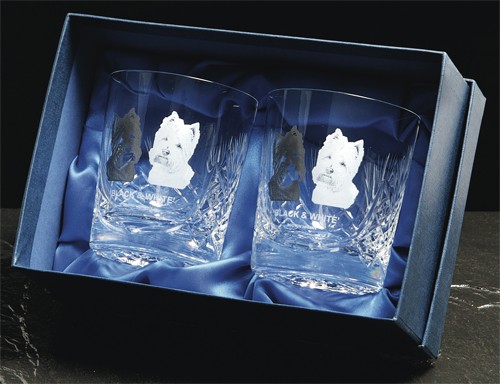 Promotional Pair Of Heavy Cut Crystal Glass Tumblers