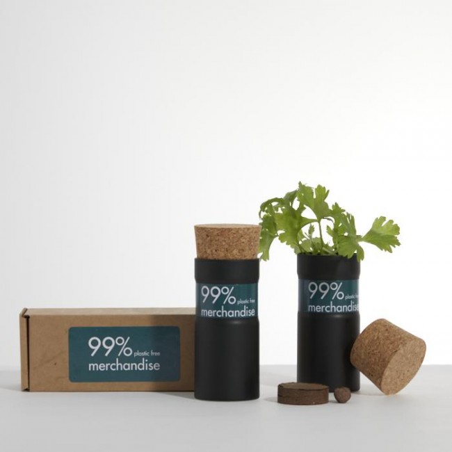 Promotional Desktop Garden - Bee Mix -  Boxed