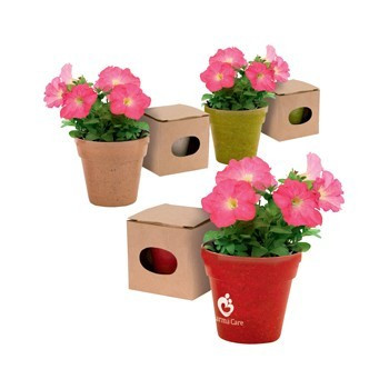 Promotional Flowerpot Advert