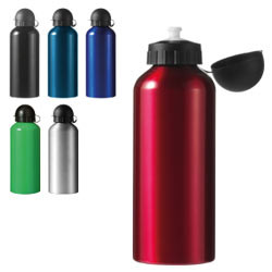 Promotional Alu Bottle