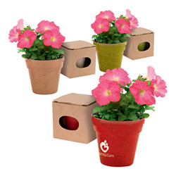 Promotional Plant Pot