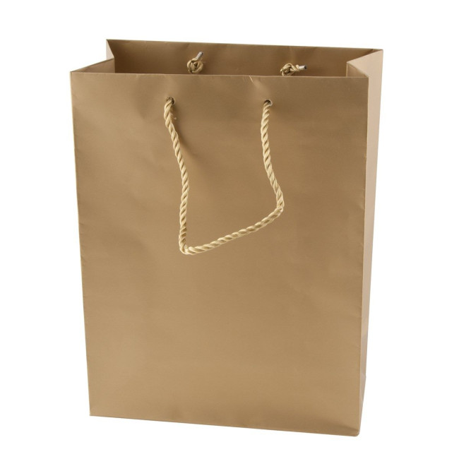 Promotional Matt paper bag 220 x 290 x 100mm - Image 2