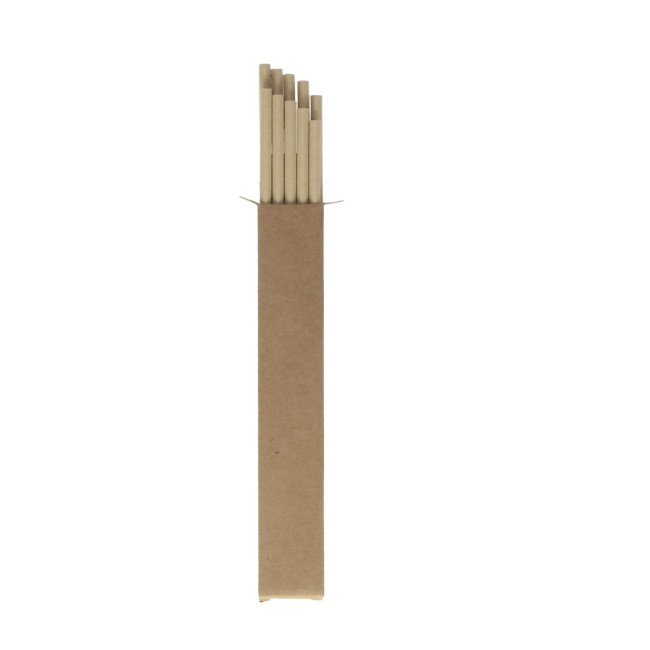 Promotional Pack Of 10 Paper Straws