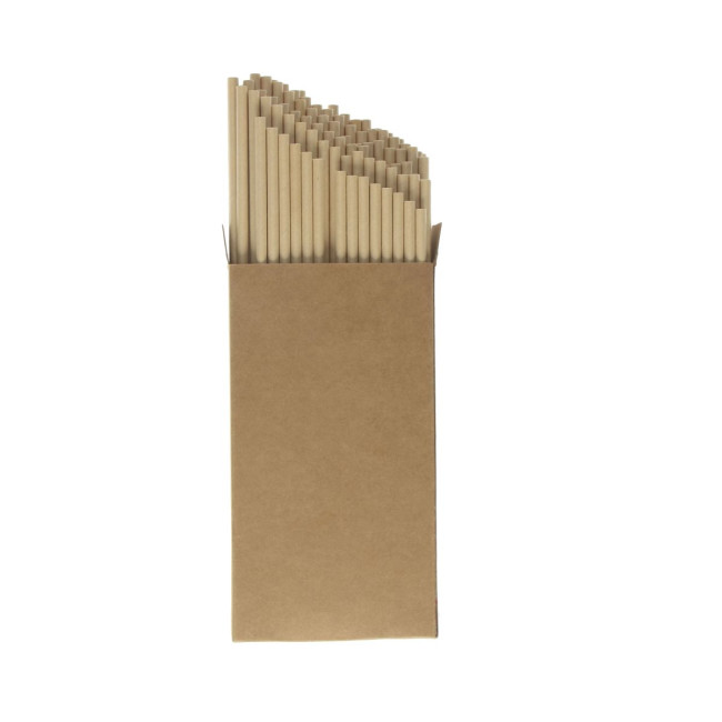 Promotional Pack Of 100 Paper Straws