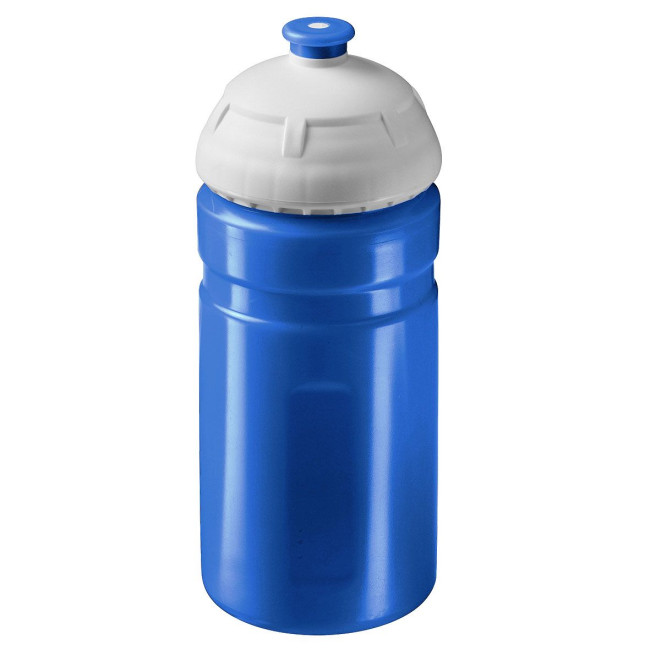 Promotional Champion Drinking Bottle 0.55L - Image 12