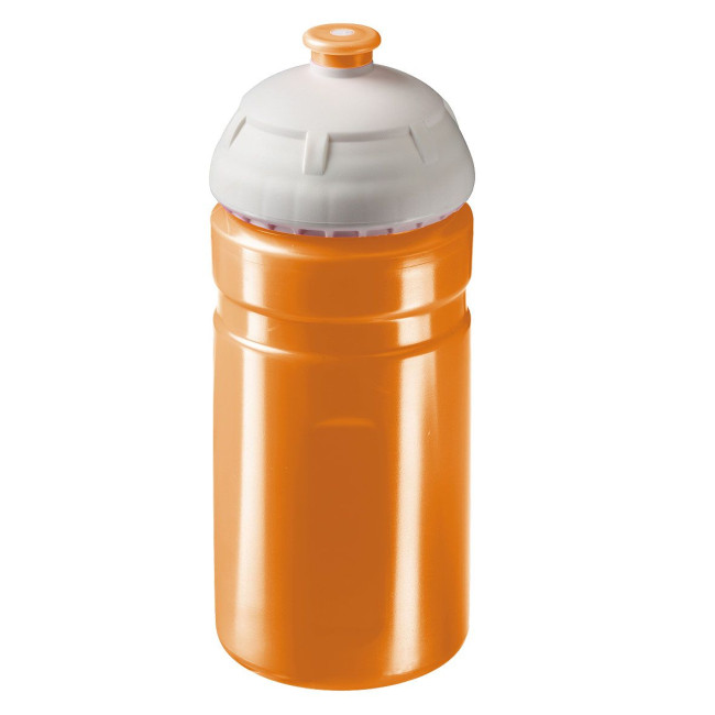 Promotional Champion Drinking Bottle 0.55L - Image 16