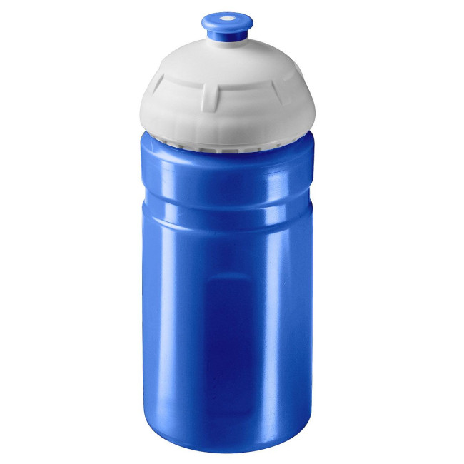 Promotional Champion Drinking Bottle 0.55L - Image 18