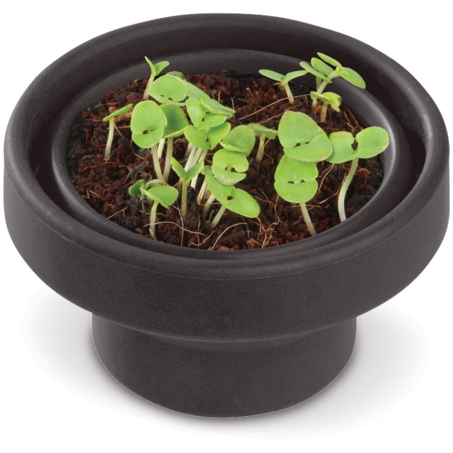 Promotional Garden foldabe herbs pot - basil - Image 1