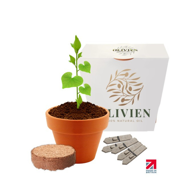 Promotional Clay Pot Gardens