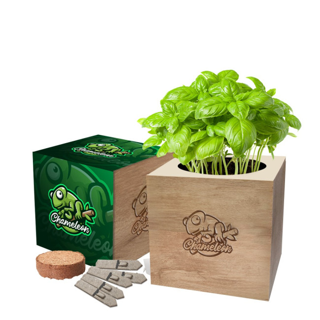 Promotional Desktop Cube Gardens