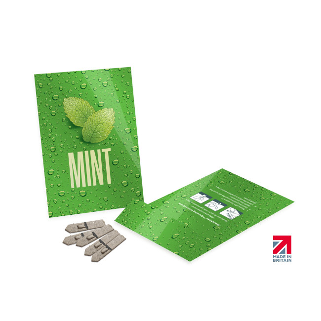 Promotional Medium Seed Packet Envelopes - Gloss