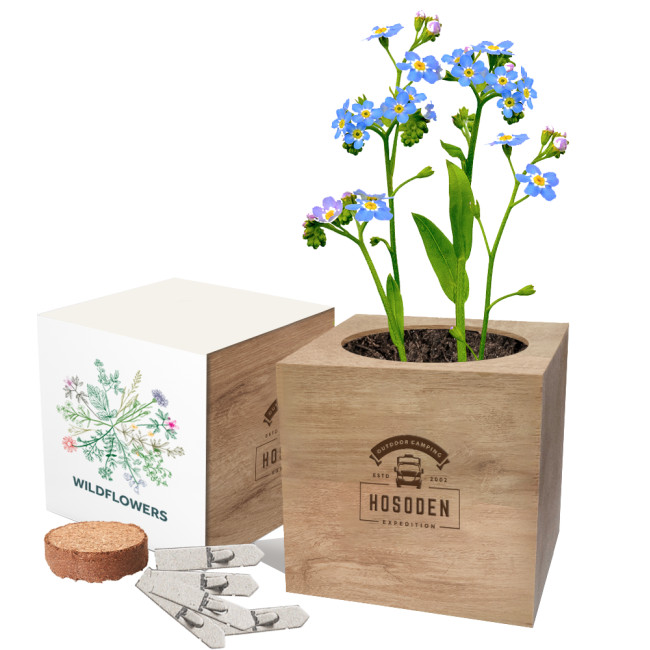 Promotional Essentials Desktop Cube Gardens