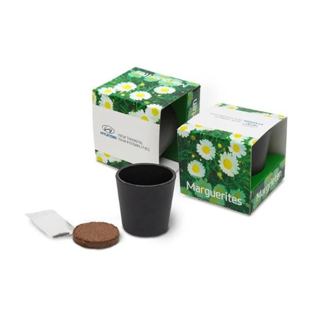 Promotional Ceramic Grow Kit