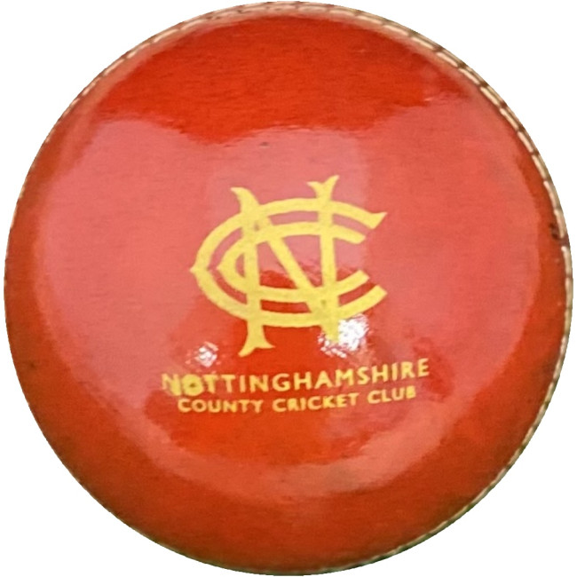 Promotional Practise Cricket Ball - Image 3