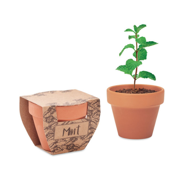 Promotional Terracotta Pot Mint Seeds