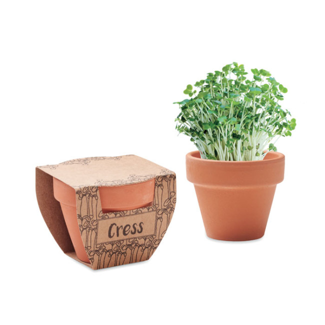 Promotional Terracotta Pot Cress Seeds