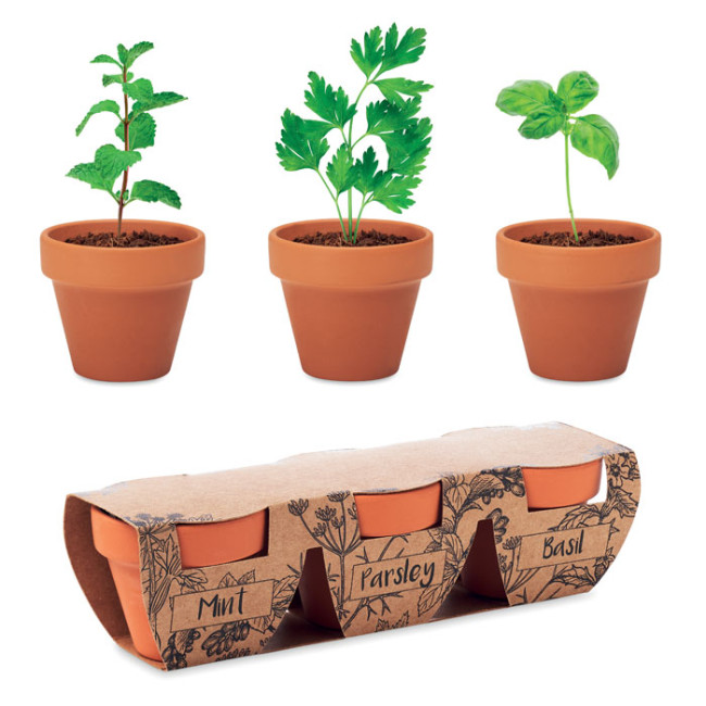 Promotional Terracotta 3 Herb Pot Set