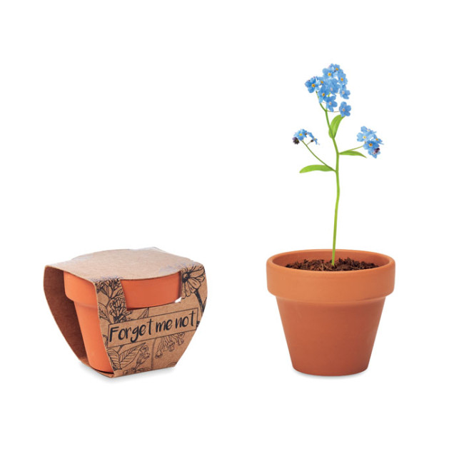 Promotional Terracotta Pot 'Forget Me Not'