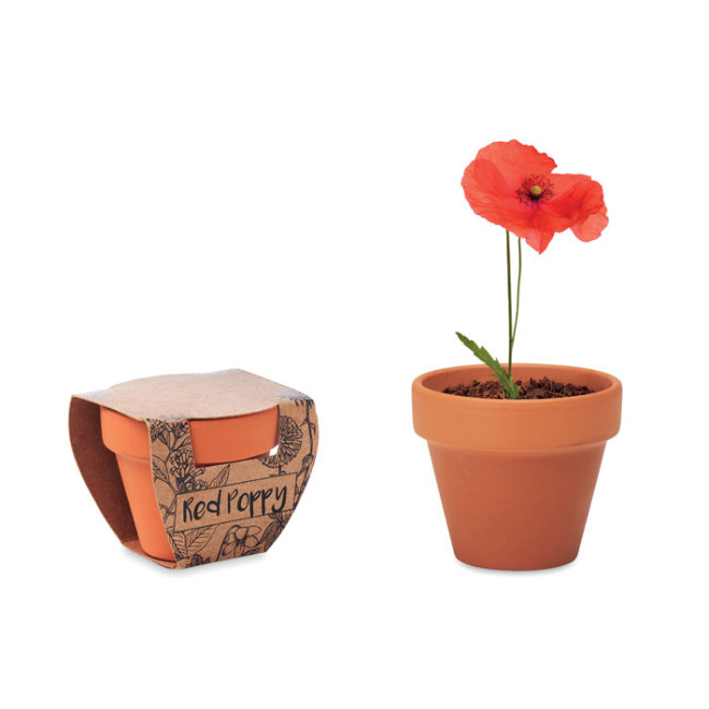 Promotional Terracotta Pot 'Poppy'