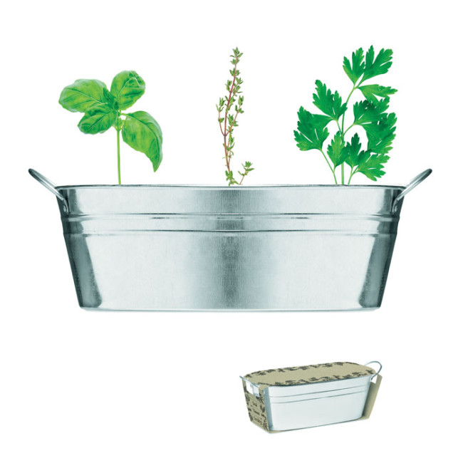 Promotional Zinc Tub With 3 Herbs Seeds