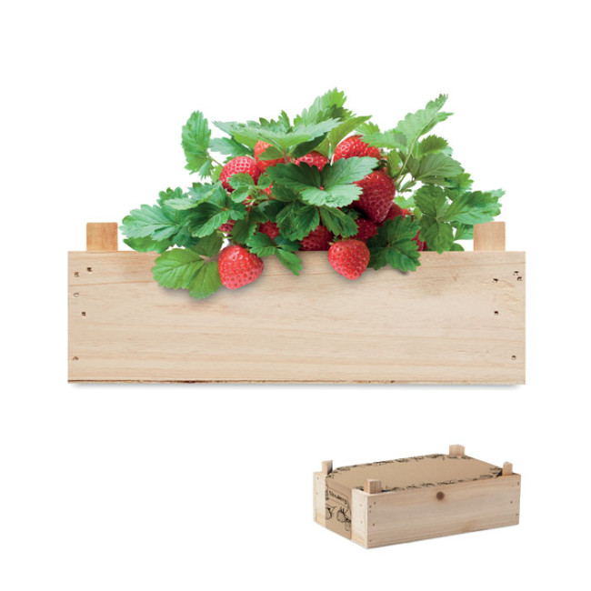 Promotional Strawberry Kit In Wooden Crate