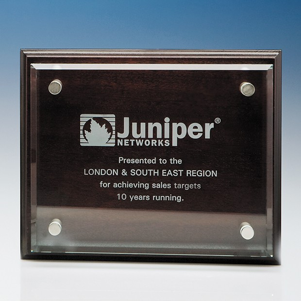 Promotional 20.5cm x 25.5cm Clear Rectangle mounted on a Mahogany Plaque