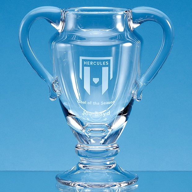 Promotional 21.5cm Handmade Double Handled Trophy Cup/Vase