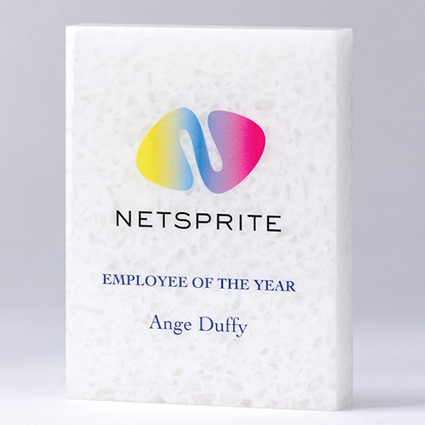 Promotional 20cm x 17.5cm x 3cm 100% Recycled Acrylic Rectangle Award