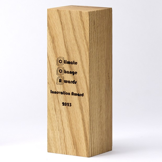 Promotional 18cm x 6cm x 6cm Beech Square Column Award