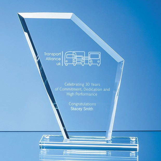 Promotional 19.5cm x 16.5cm x 1cm Jade Glass Bevelled Edge Wing Award