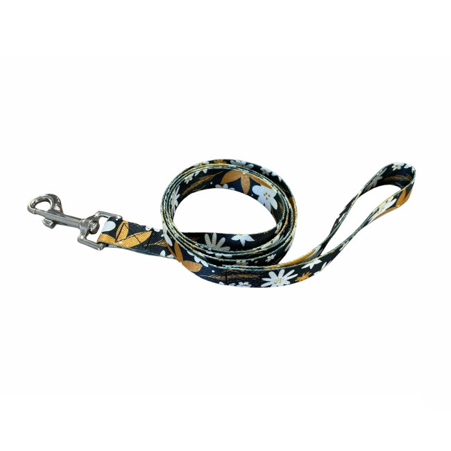 Promotional Recycled PET Dog Lead