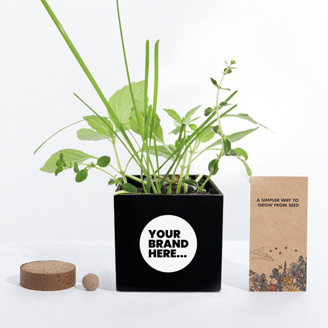 Promotional Grow Kit