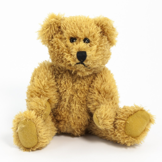 Promotional Sparkie Bear 20cm - Image 1