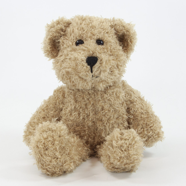 Promotional Scruffy Bear 25cm