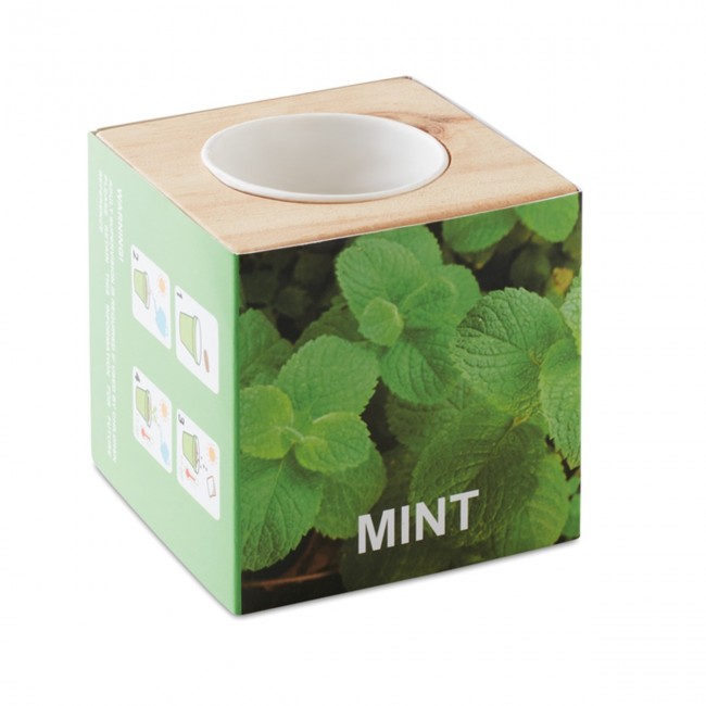 Promotional Herb Wood Pot With Mint Seeds - Image 4