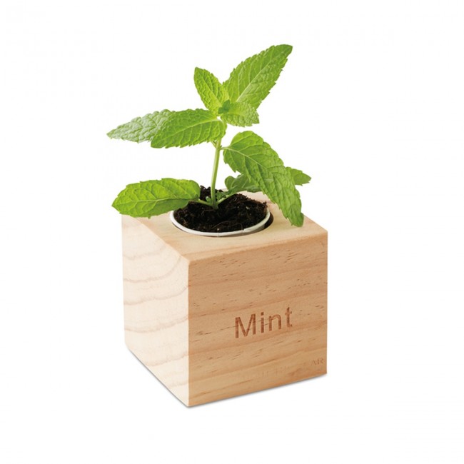 Promotional Herb Wood Pot With Mint Seeds - Image 2