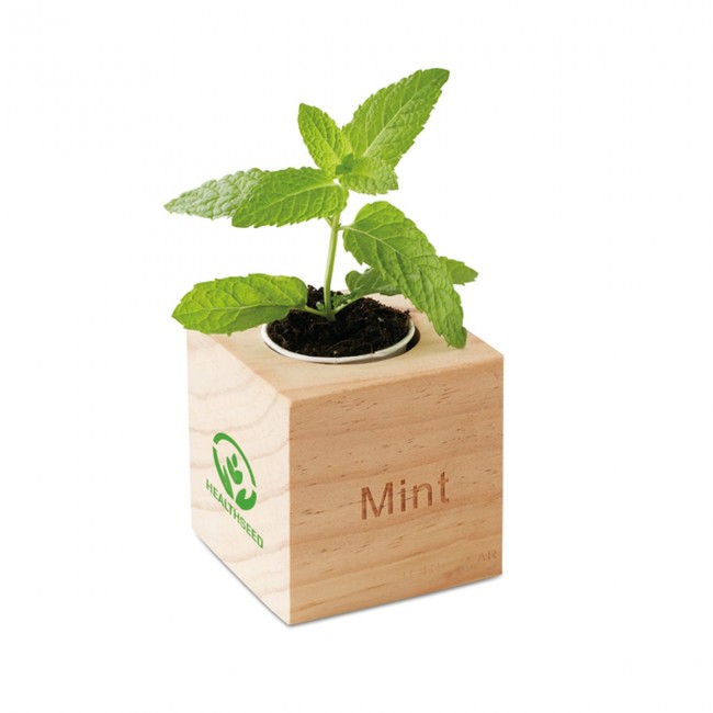 Promotional Herb Wood Pot With Mint Seeds - Image 1