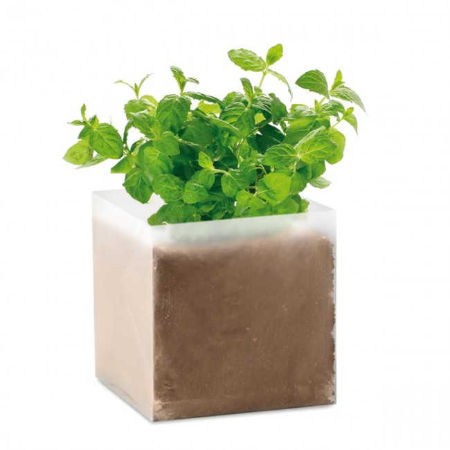 Promotional Compost With Mint Seeds - Image 1