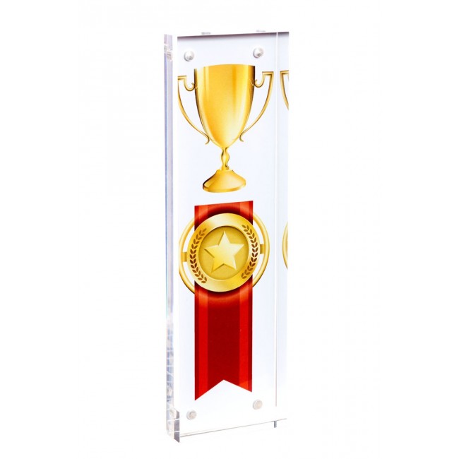 Promotional Acrylic Display Block