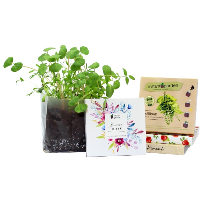 Promotional Instant Garden