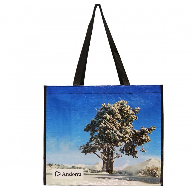 Promotional Woven Laminated Shopping Bag