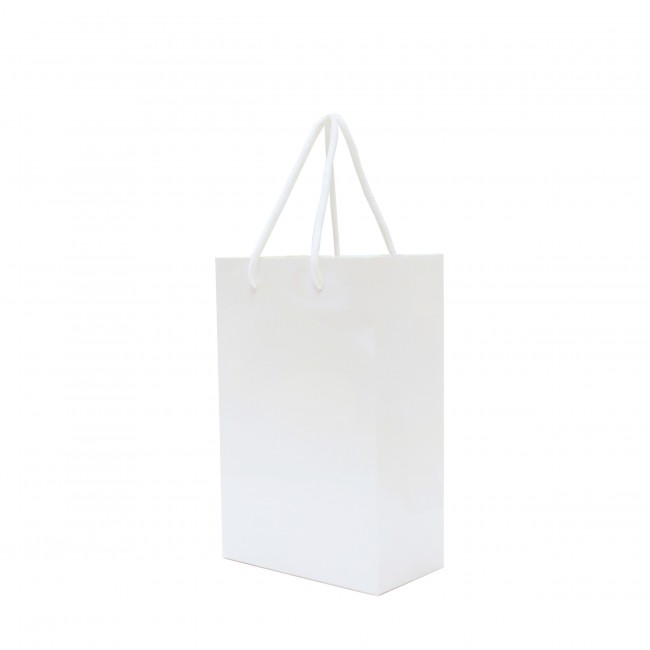 Promotional Walton A5 Gloss Laminated Paper Carrier Bag