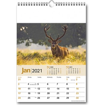 Wildlife Memo Wall Calendar